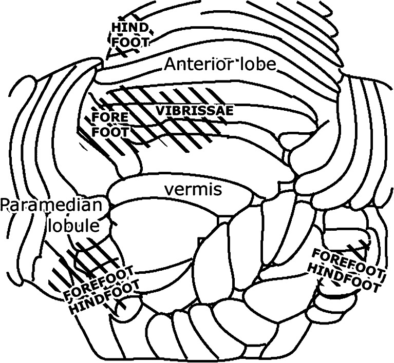 Fig. 15