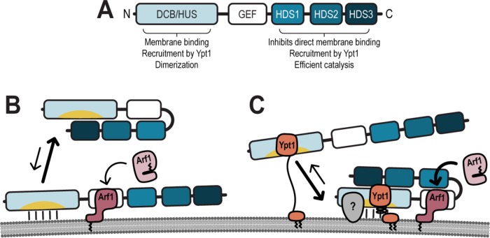 FIGURE 9: