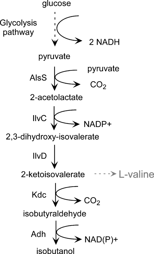 Fig. 1