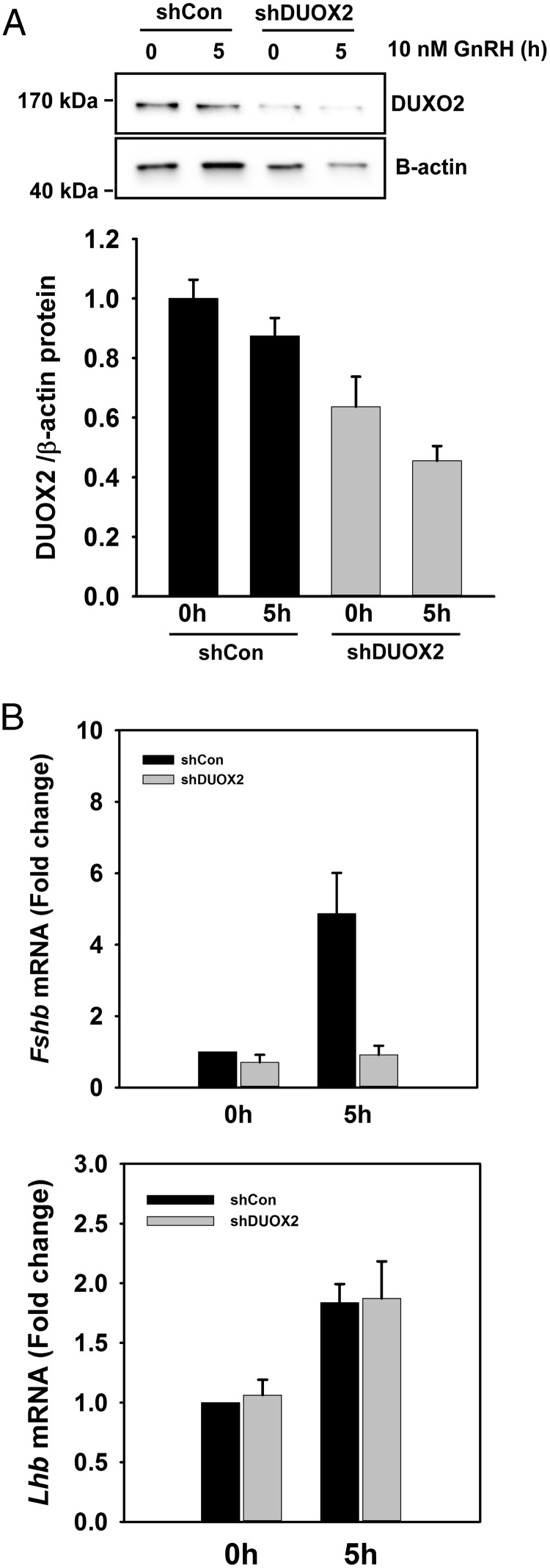 Figure 7.