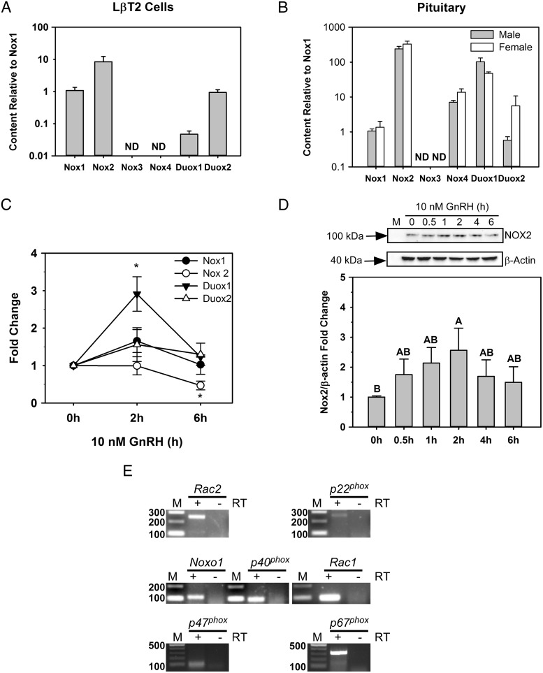 Figure 2.