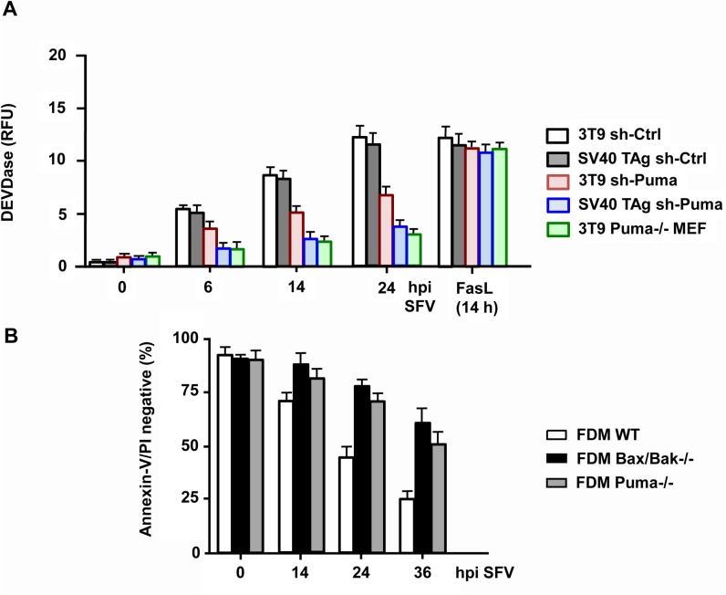 Fig 10