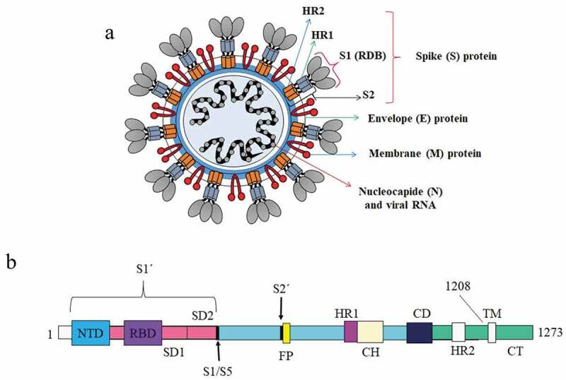 Figure 2.