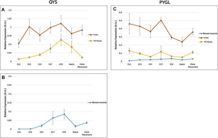 FIGURE 6