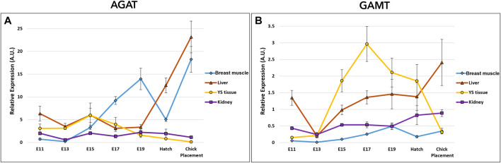 FIGURE 4