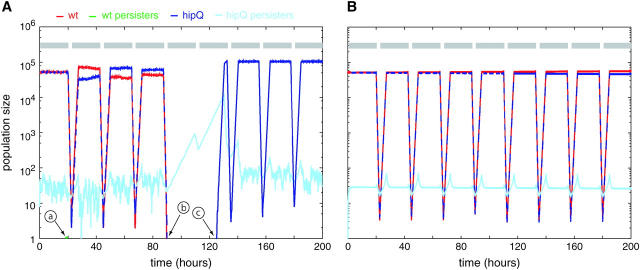 Figure 3.—