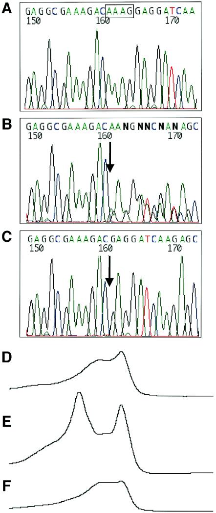 Figure  1