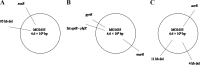 FIG 1
