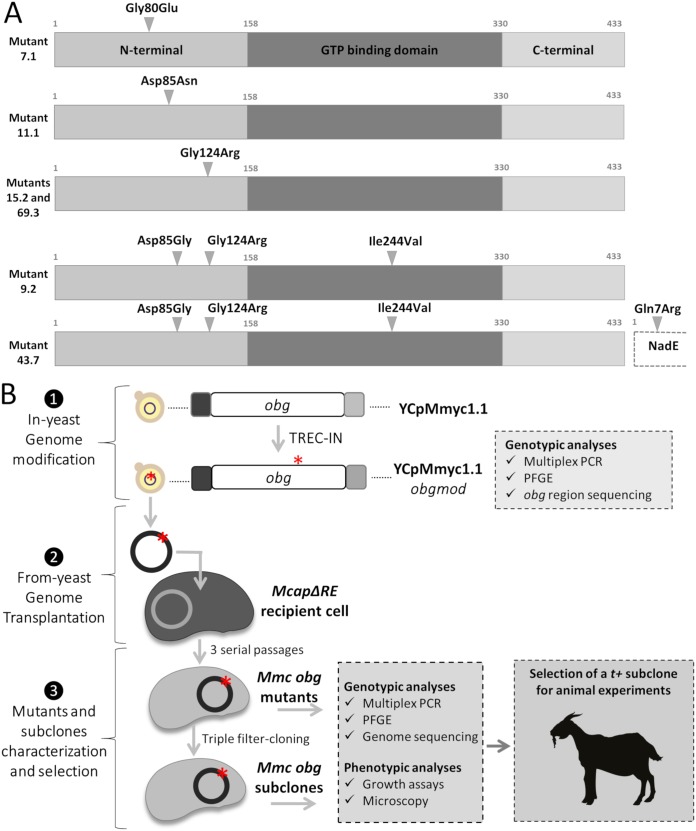 FIG 1