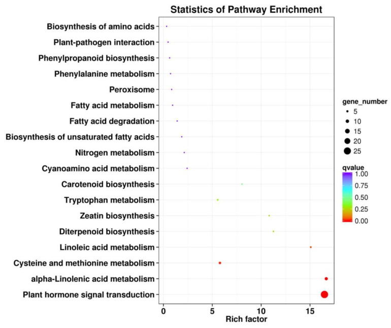 Transcriptome Analysis Revealed Plant Hormone Biosynthesis and Response ...