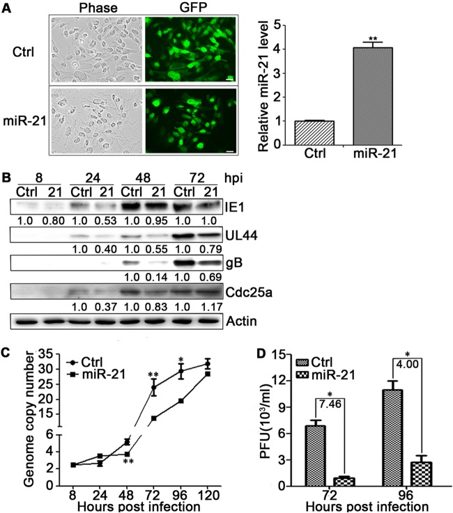 FIG 2