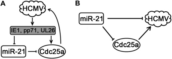 FIG 8