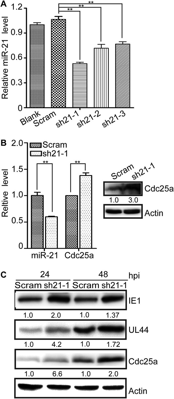 FIG 3