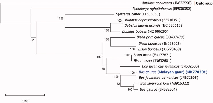 Figure 1.