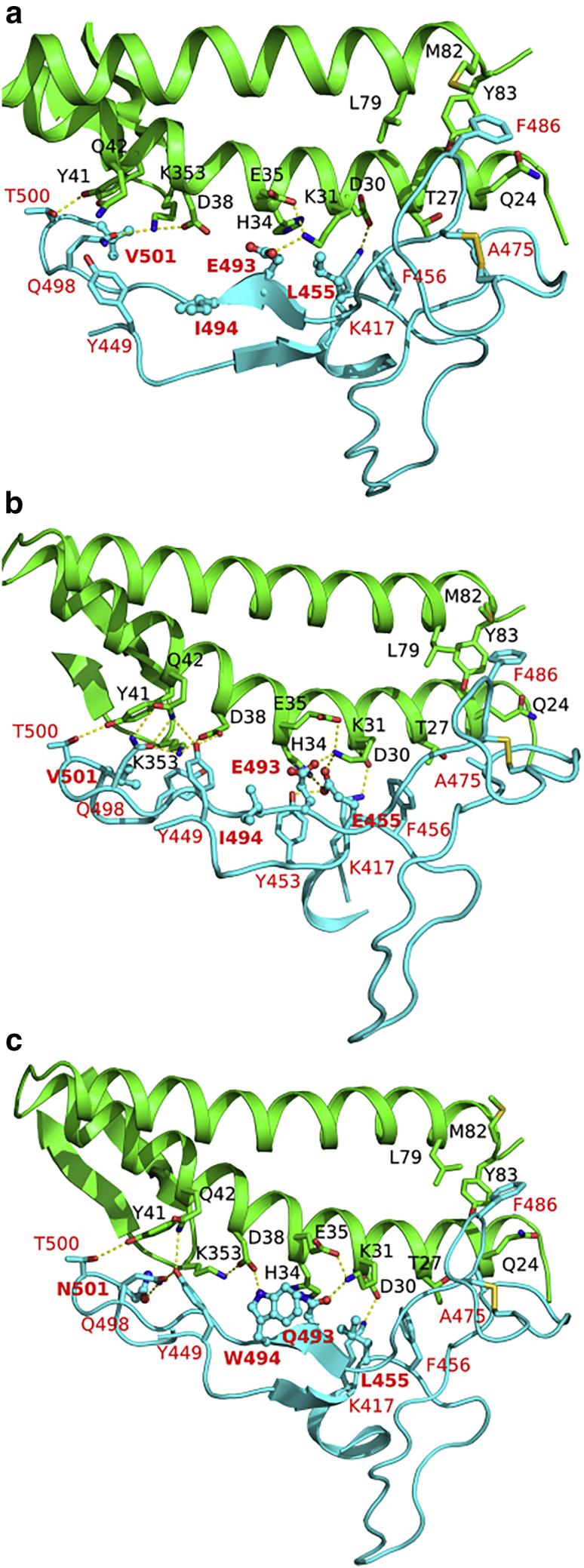 Figure 5