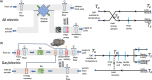 A schematic representation of two contrasting AHUs are shown along with a nodal representation of the air pathway