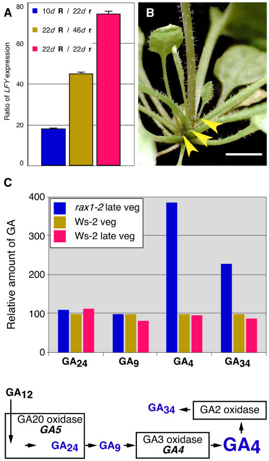 Figure 6.