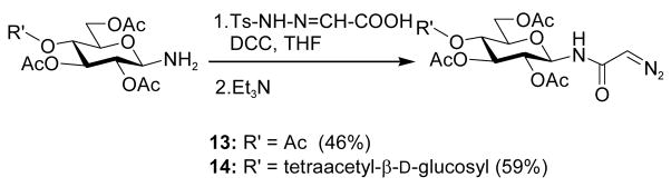 Scheme 3