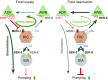 Fig. 5.