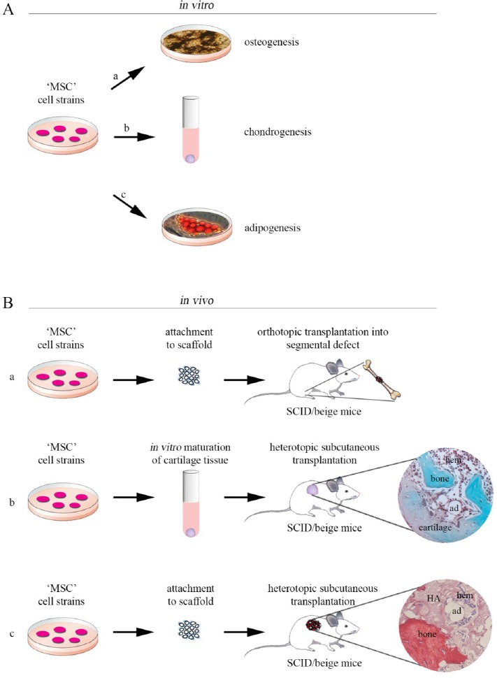 Figure 1: