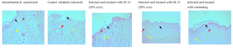 Figure 10