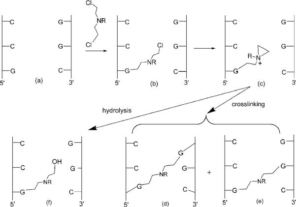 Scheme 1