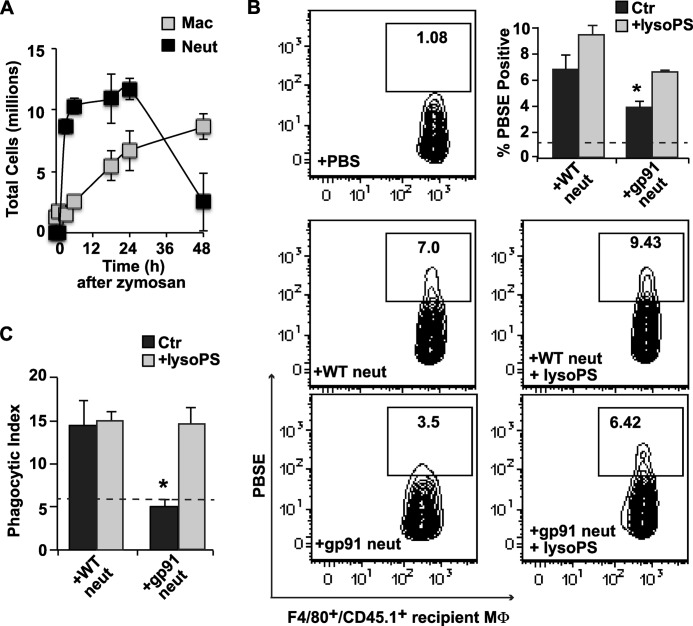 FIGURE 4.