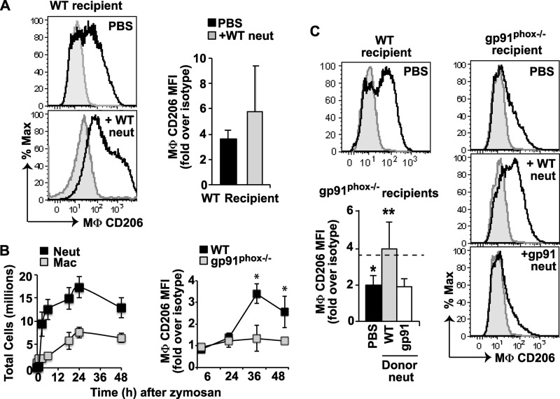 FIGURE 6.