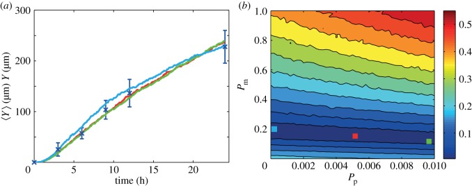 Figure 5.