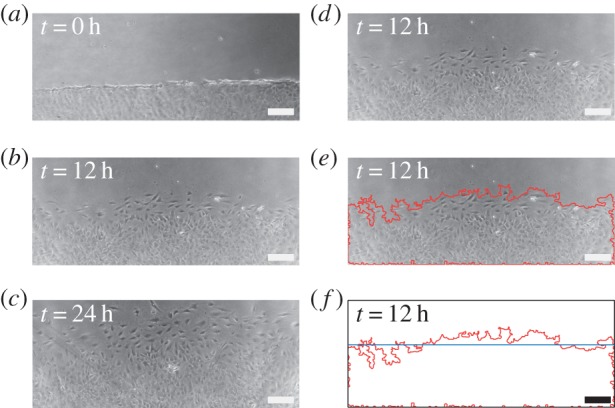 Figure 4.