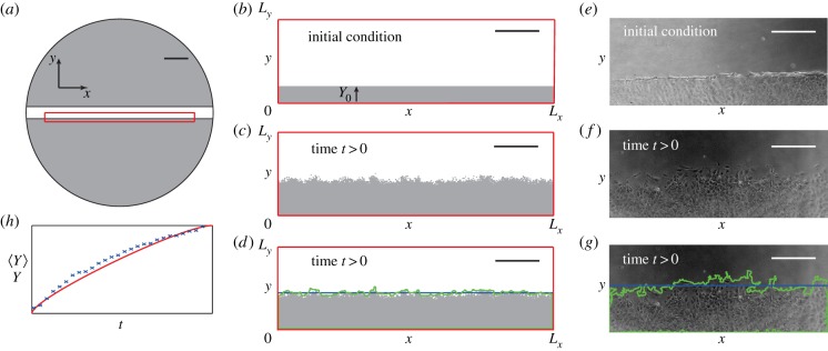 Figure 1.