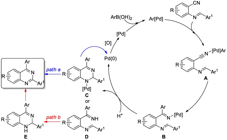 Scheme 5