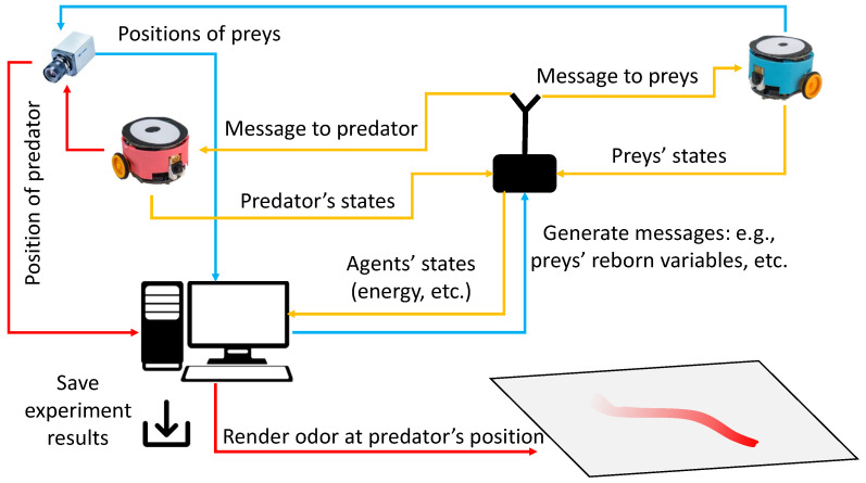 Figure 5
