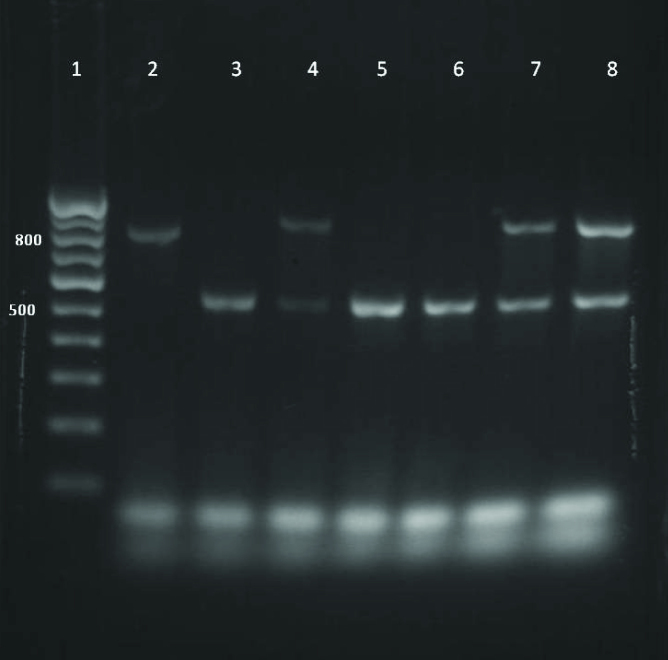 [Table/Fig-5]: