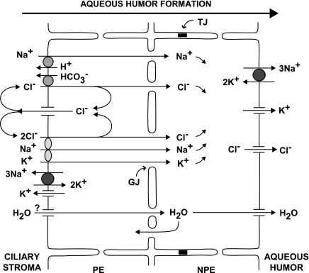 Fig. 1.