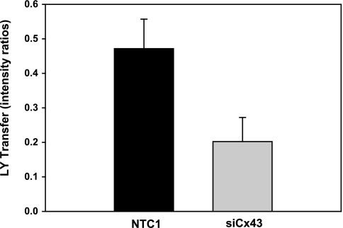 Fig. 10.