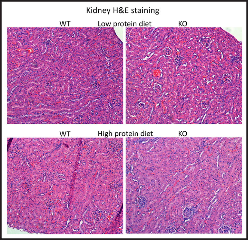 Fig. 9