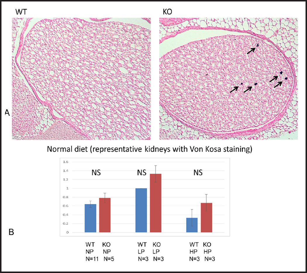 Fig. 10