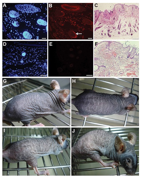 Fig.3