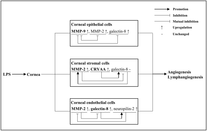 Fig. 9