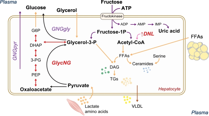 Fig. 2