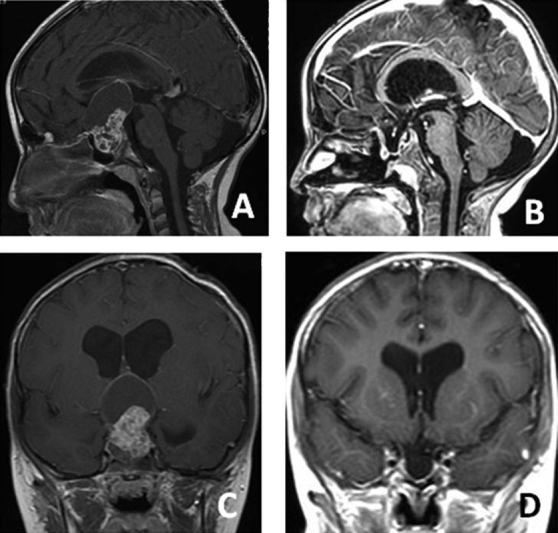 Fig. 5