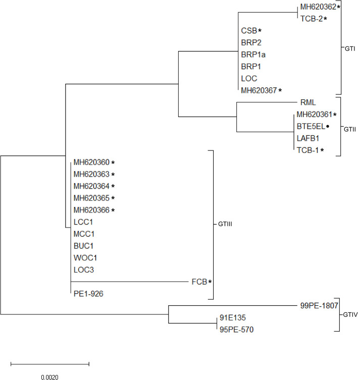 Fig 2