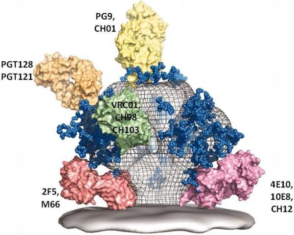 Fig. 1