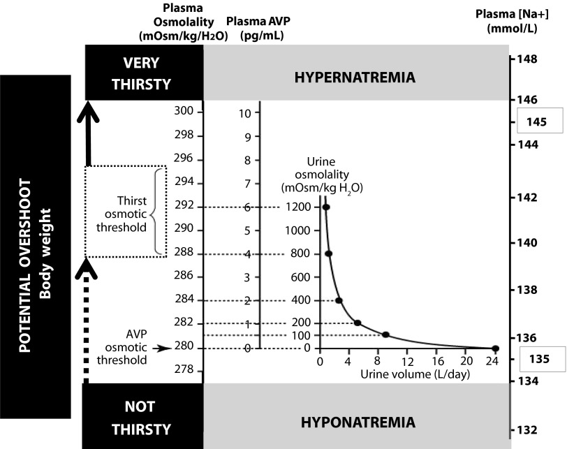 FIGURE 1—