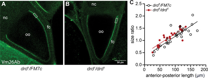 Fig 5