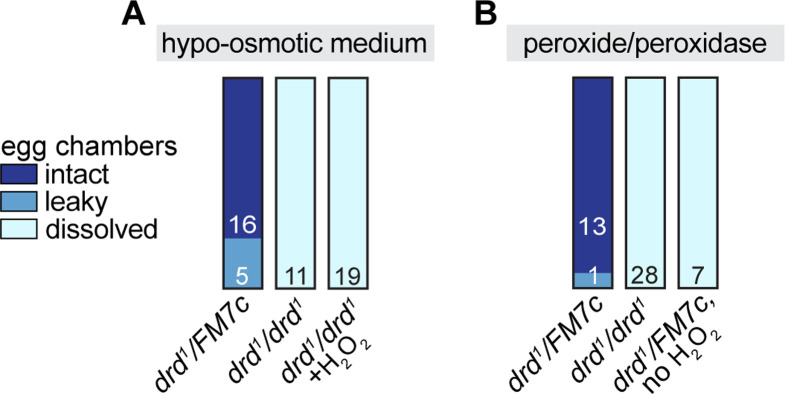 Fig 8