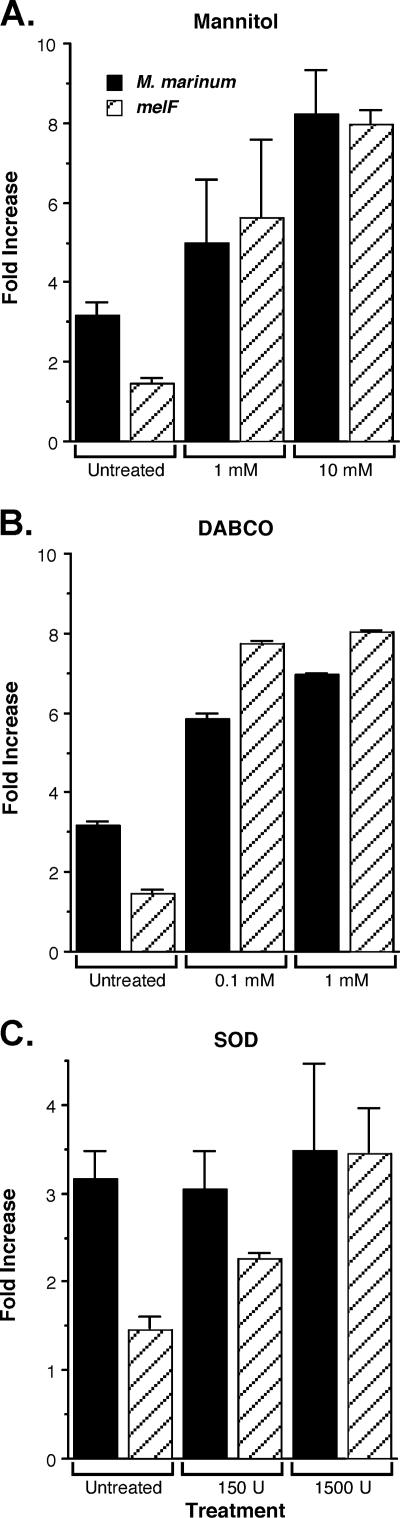 FIG. 5.