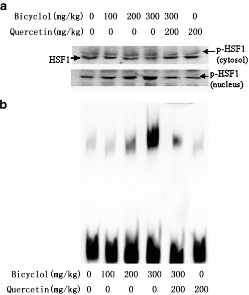 Fig. 5