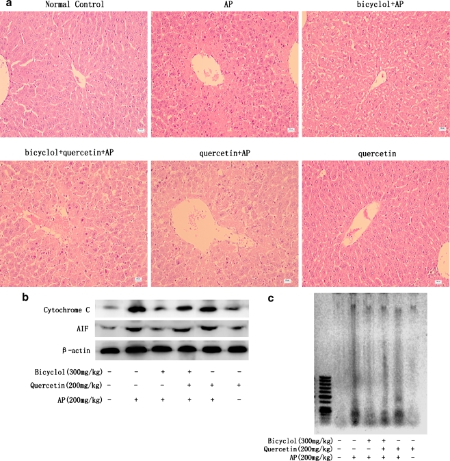 Fig. 7